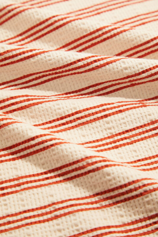 Rust Men's Crew Neck Striped T-Shirt 4