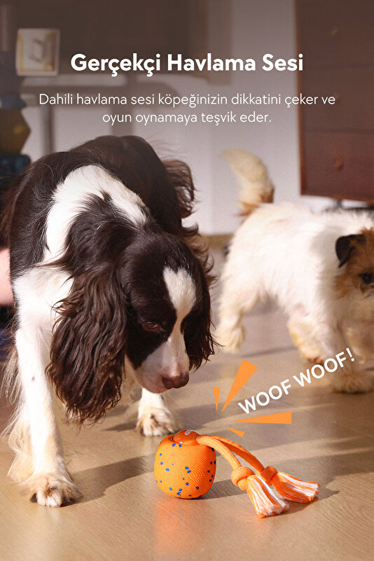 Wicked Ball Rolly Şarjlı İnteraktif Köpek Oyuncak Topu 4