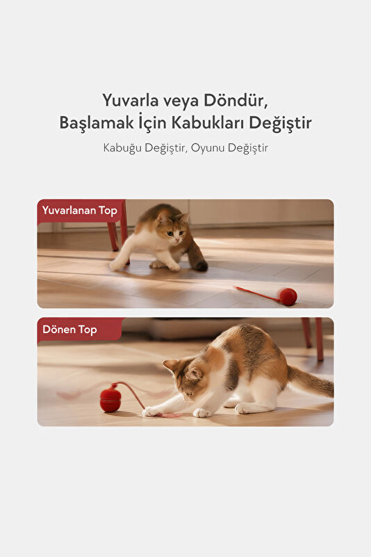 Wicked Ball Duo2 İnteraktif Şarjlı Kedi Oyun Topu 3