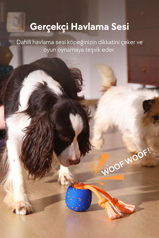 Wicked Ball Rolly Şarjlı İnteraktif Köpek Oyuncak Topu 4