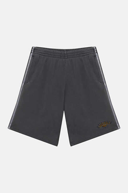 Anthracite Men's Shorts