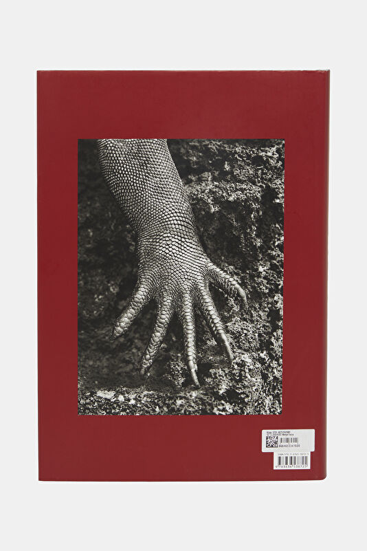 Sebastião Salgado. Genesis 3