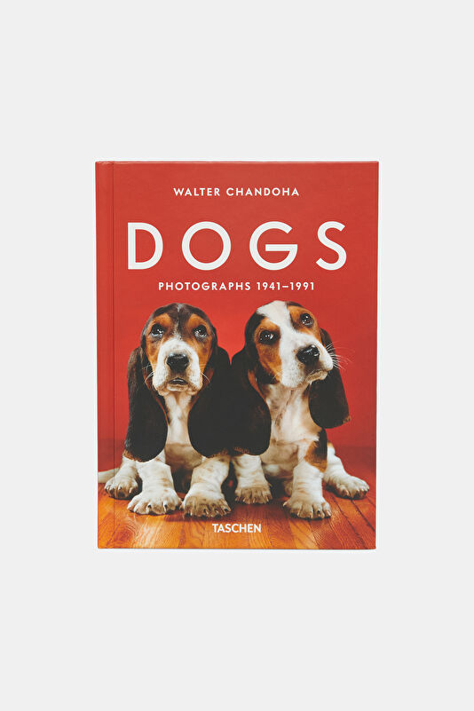 Walter Chandoha. Dogs. Photographs 1941
