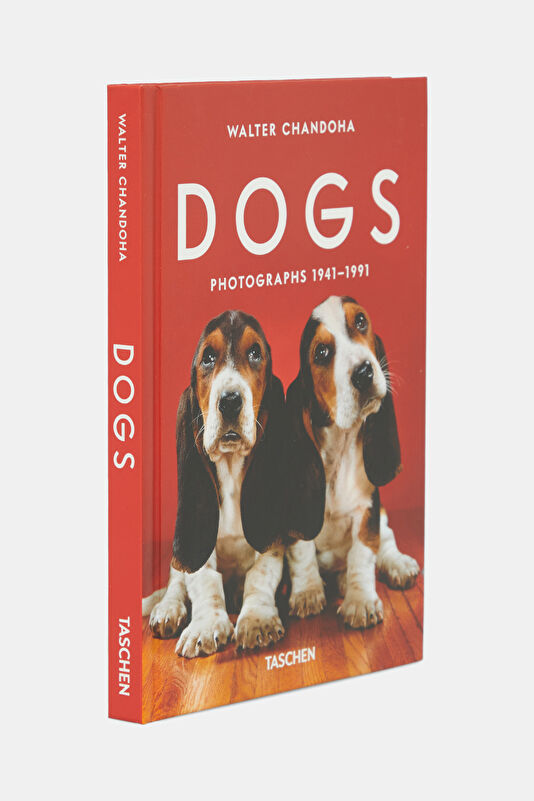 Walter Chandoha. Dogs. Photographs 1941 2