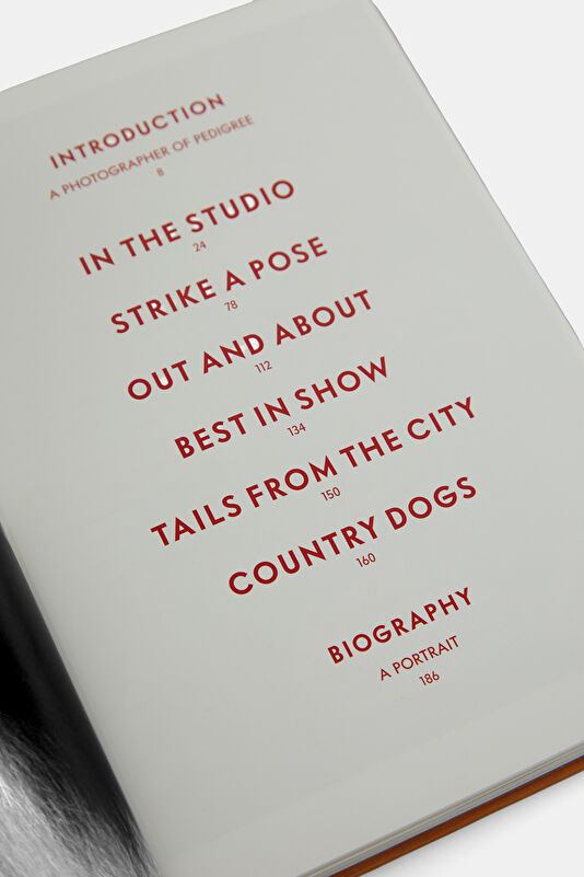 Walter Chandoha. Dogs. Photographs 1941 4