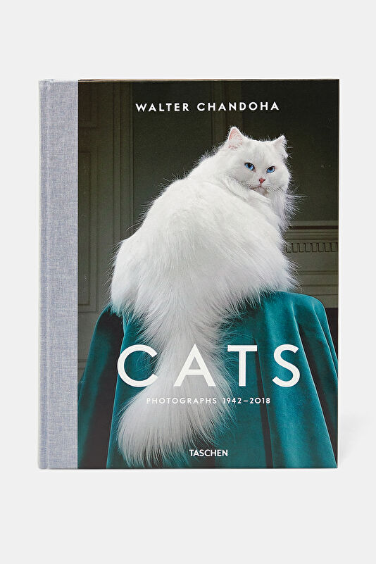Walter Chandoha. Cats. Photographs 1942