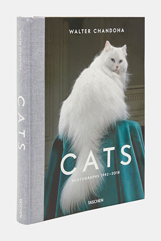 Walter Chandoha. Cats. Photographs 1942 2