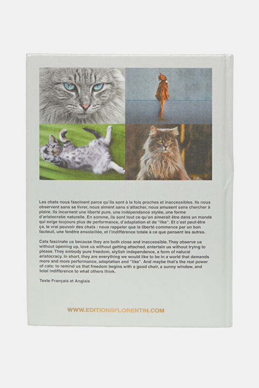 Love Cats 3