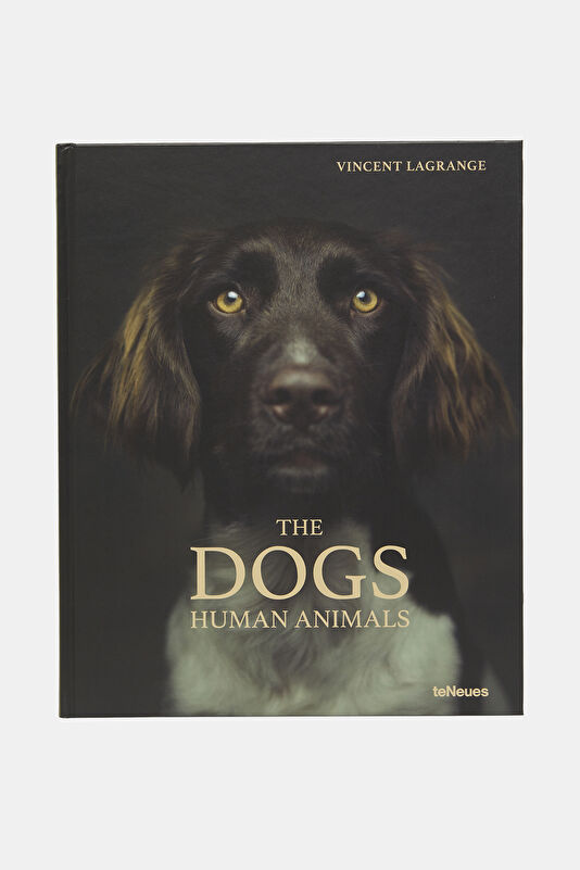 The Dogs