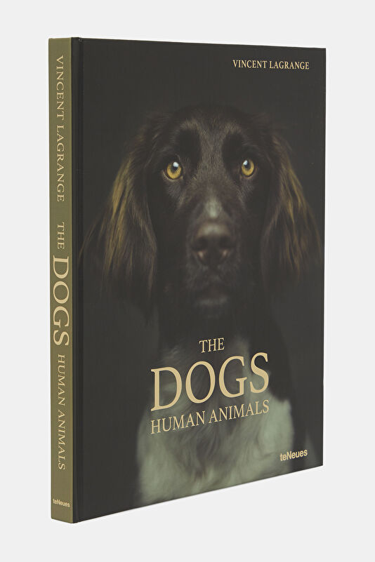 The Dogs 2