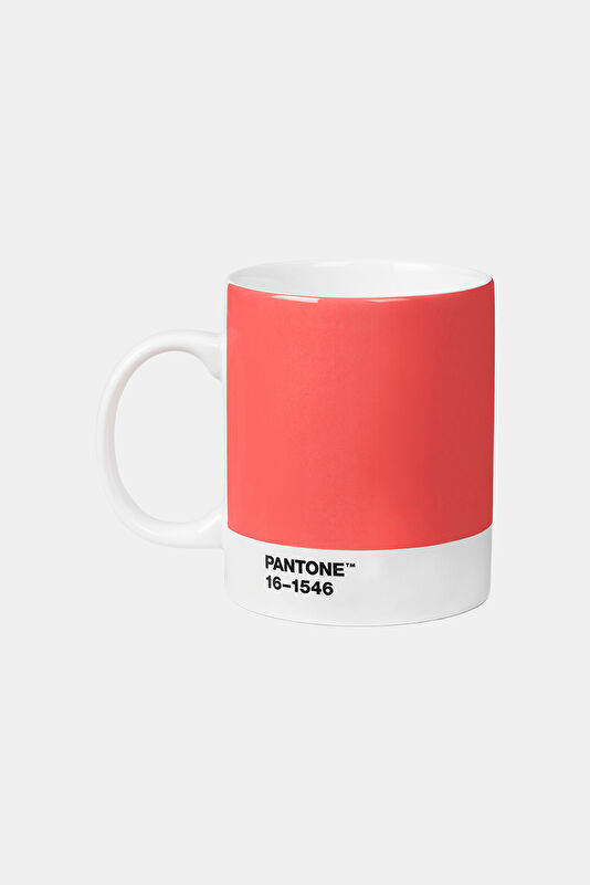 Pantone Mug C19