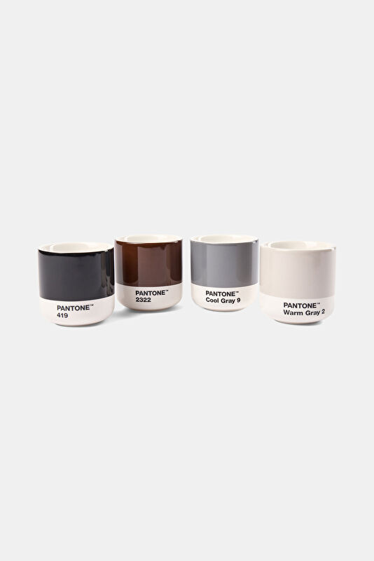 Latte Thermo Mug