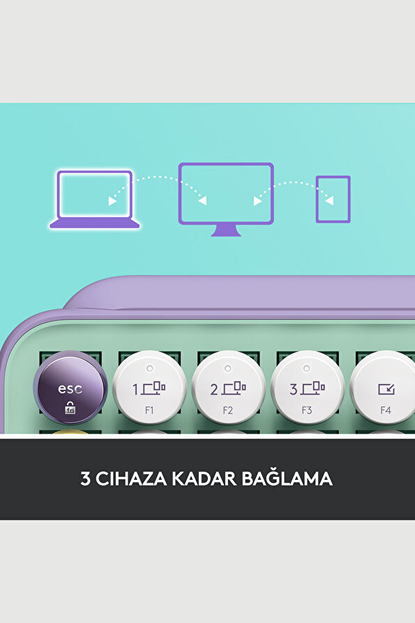 Vakkorama6