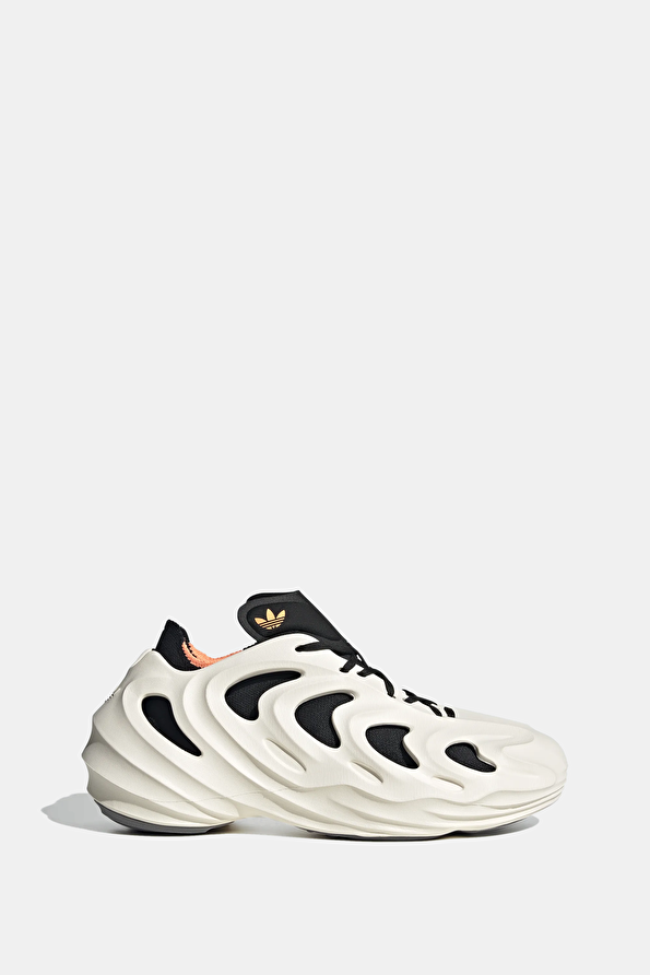 Vakkorama1 Vakkorama1