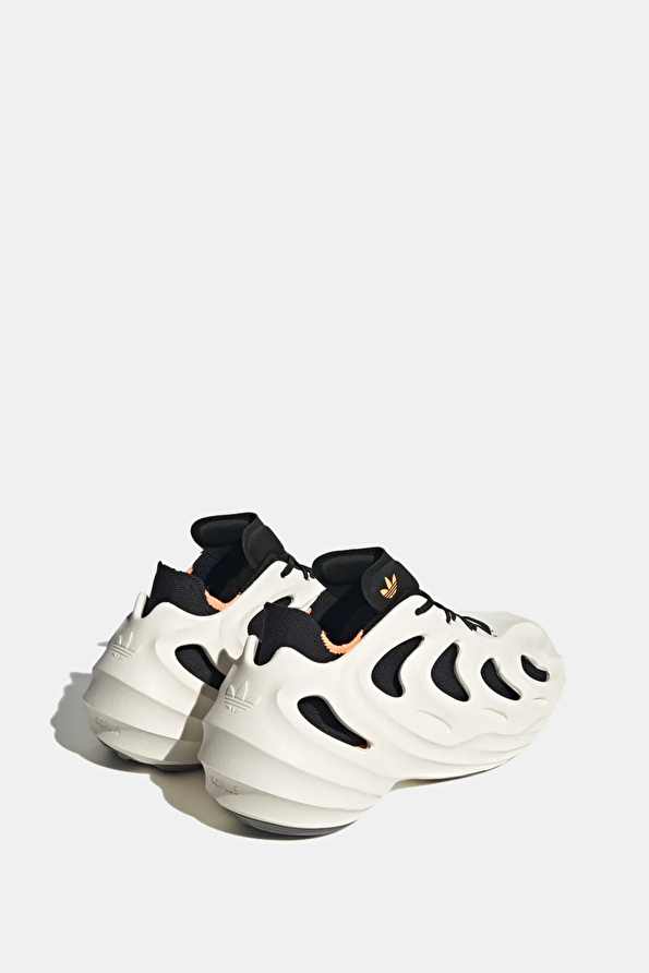 Vakkorama5 Vakkorama5