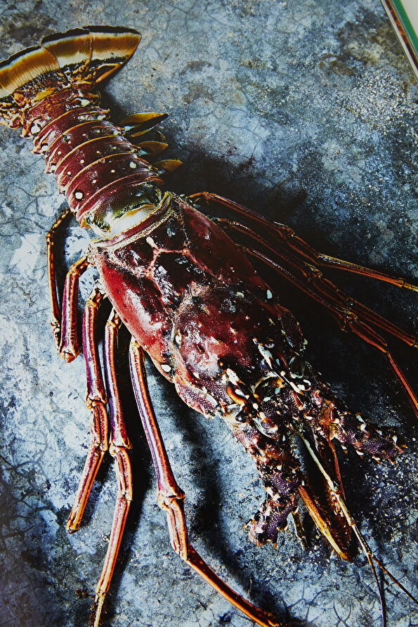 Vakkorama5 Vakkorama5