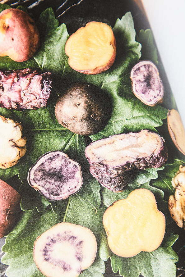 Vakkorama9 Vakkorama9