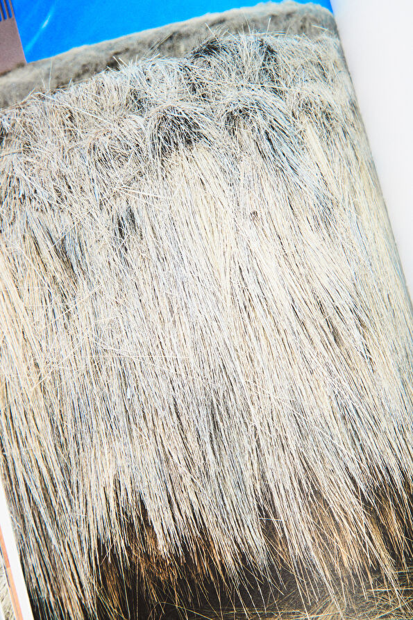 Vakkorama10 Vakkorama10