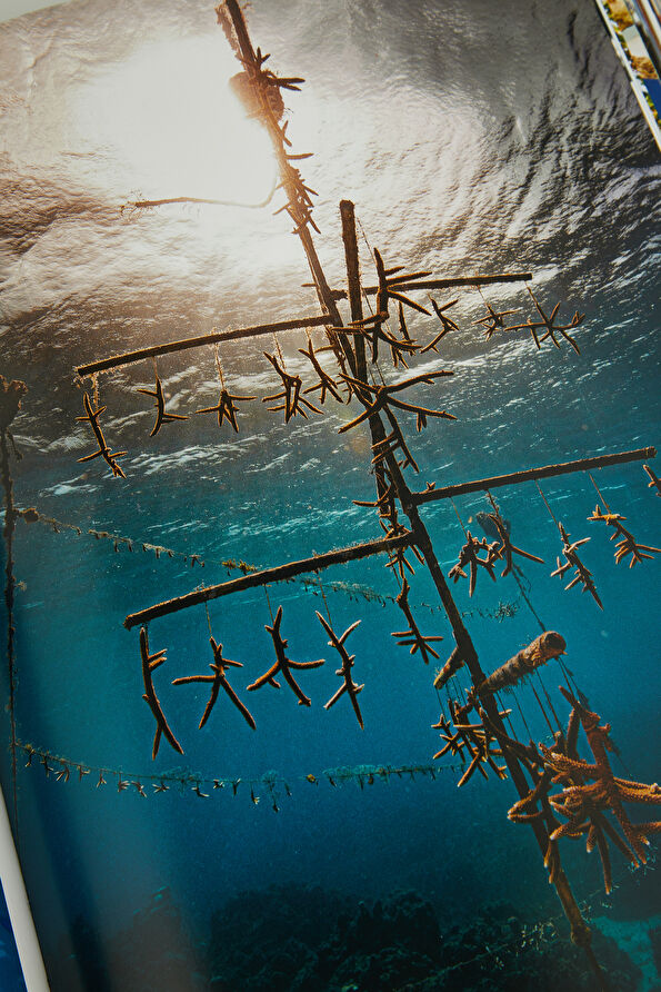 Vakkorama8 Vakkorama8