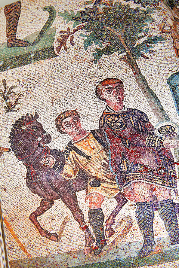 Vakkorama8 Vakkorama8