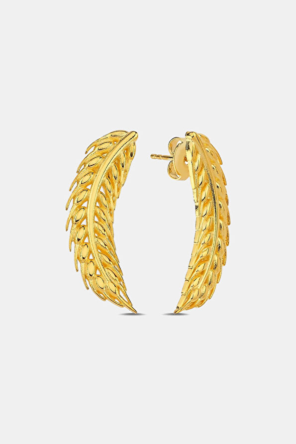 Vakkorama1 Vakkorama1