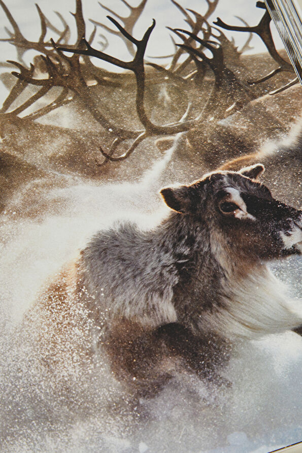 Vakkorama11 Vakkorama11