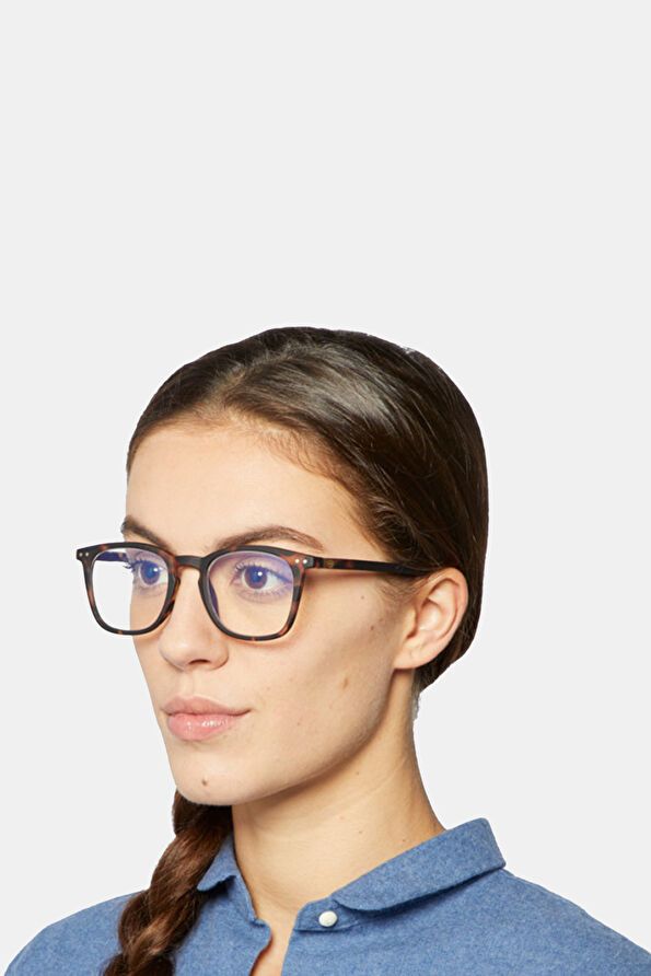 Vakkorama3 Vakkorama3