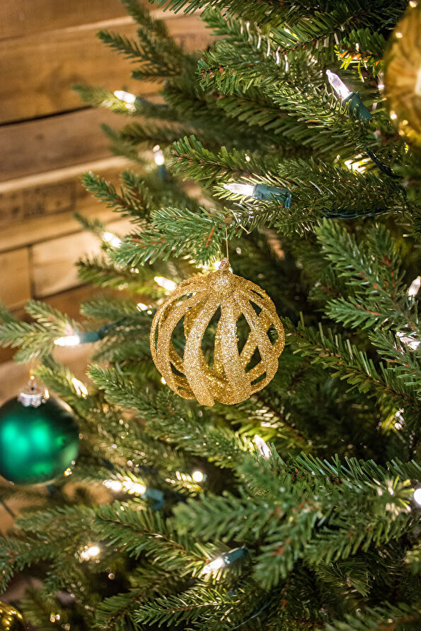 Vakkorama5 Vakkorama5