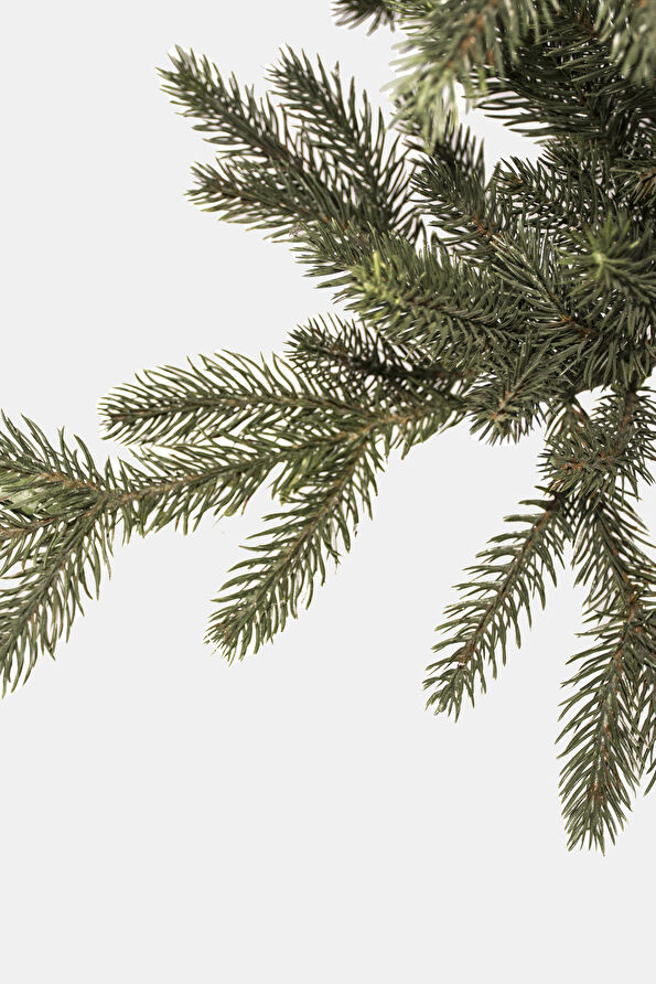 Vakkorama2 Vakkorama2