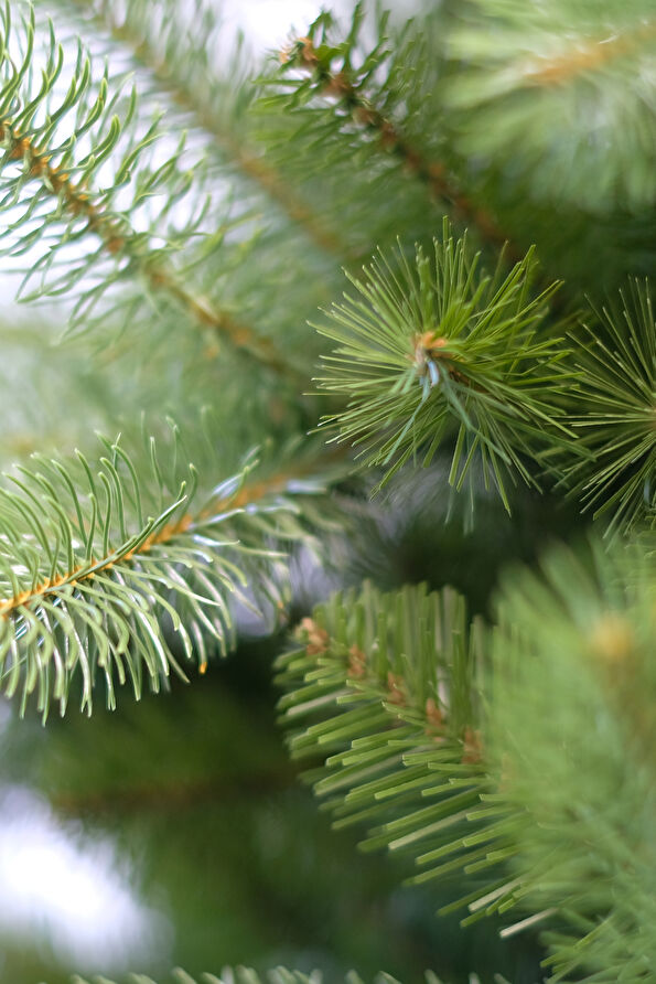 Vakkorama2 Vakkorama2