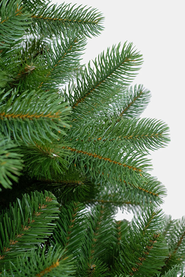 Vakkorama3 Vakkorama3