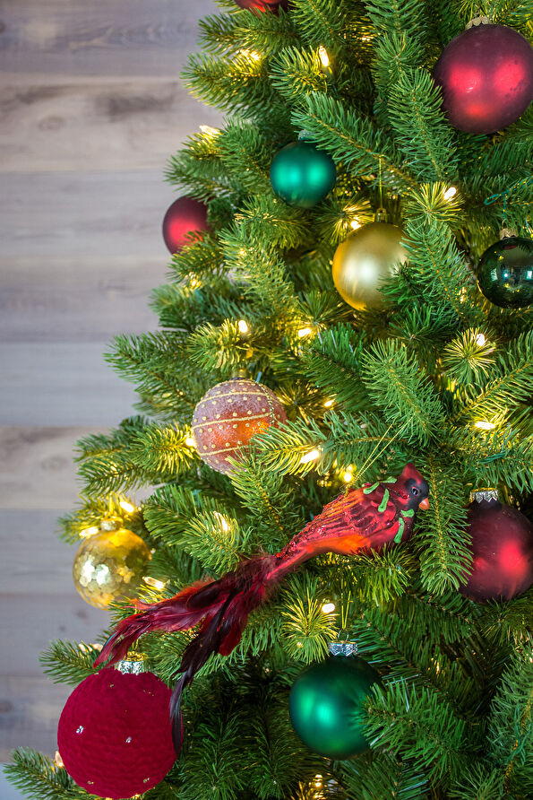 Vakkorama5 Vakkorama5