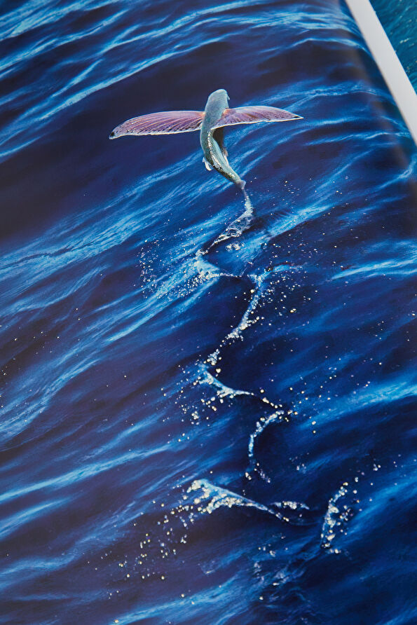 Vakkorama10 Vakkorama10