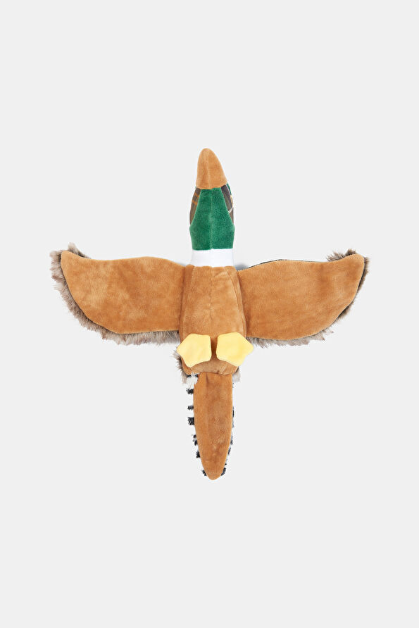 Vakkorama6