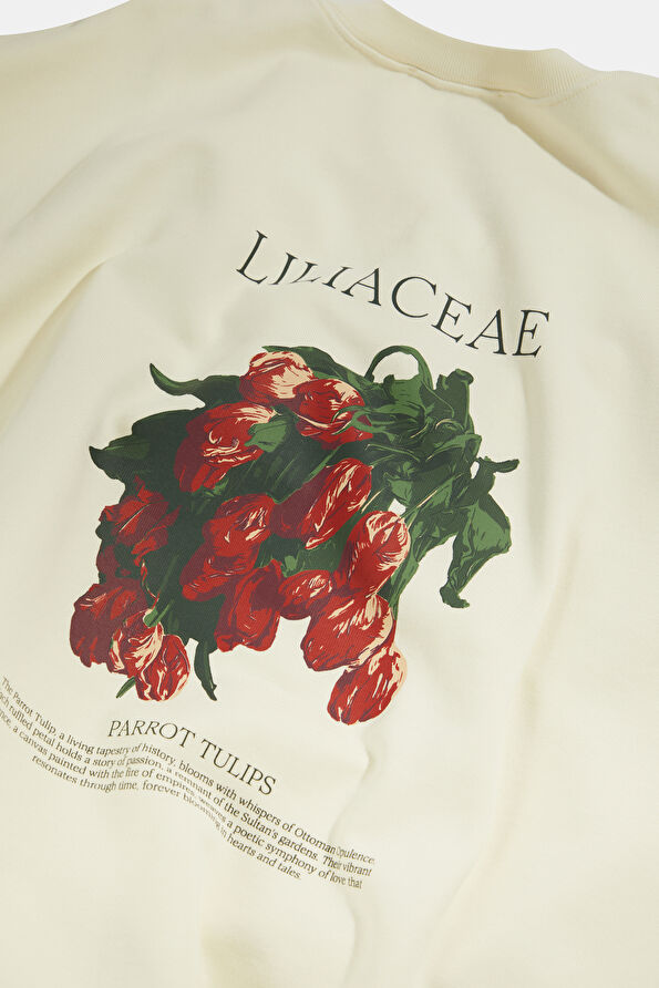 Vakkorama5 Vakkorama5