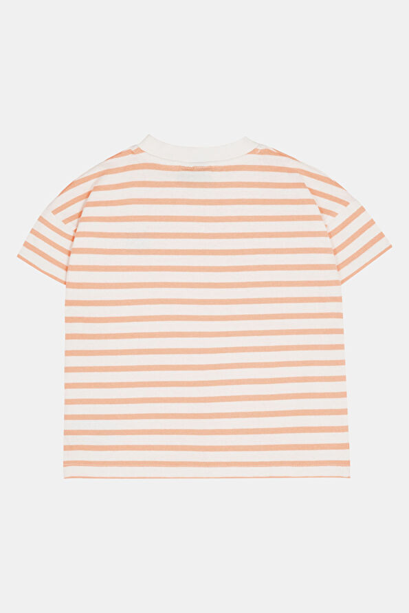 Vakkorama2 Vakkorama2