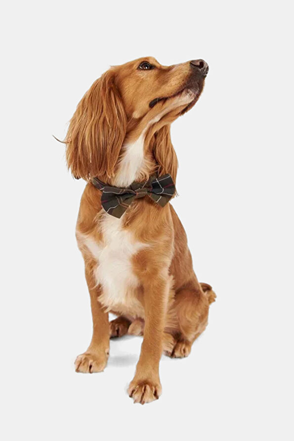 Vakkorama3 Vakkorama3