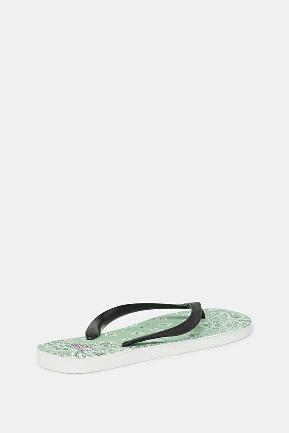 Vakkorama3 Vakkorama3