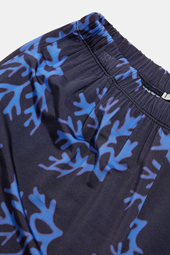 Vakkorama3 Vakkorama3