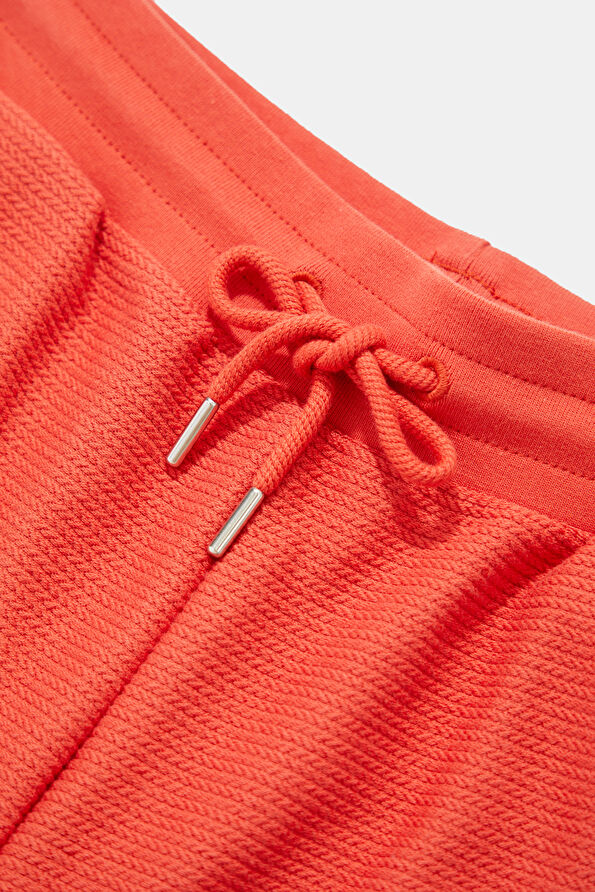 Vakkorama5 Vakkorama5