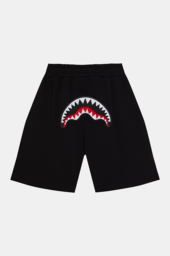 Vakkorama2 Vakkorama2