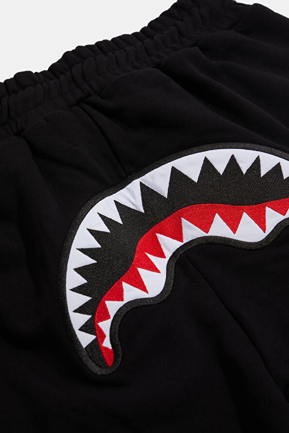 Vakkorama5 Vakkorama5