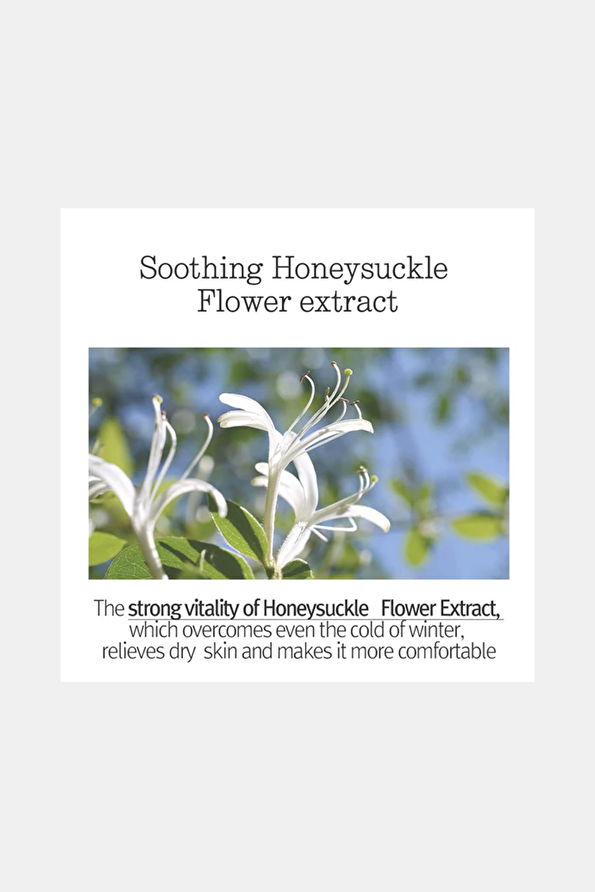 Vakkorama6 Vakkorama6