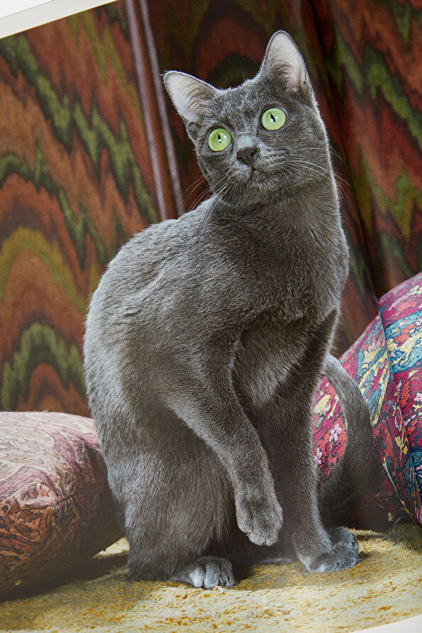 Vakkorama9 Vakkorama9