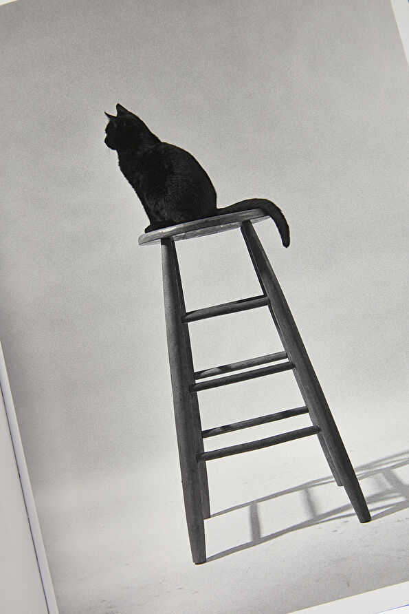 Vakkorama11 Vakkorama11