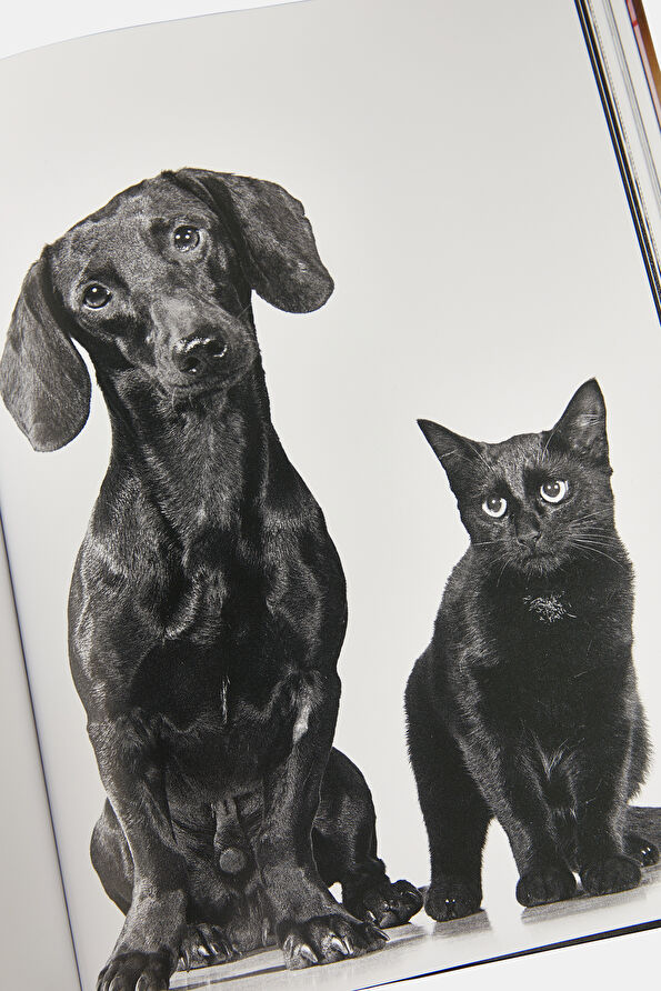 Vakkorama12 Vakkorama12