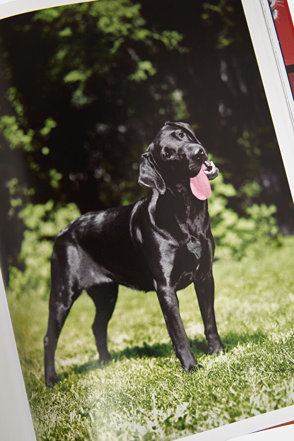 Vakkorama12 Vakkorama12