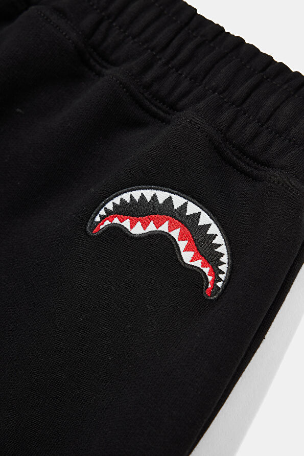 Vakkorama5 Vakkorama5