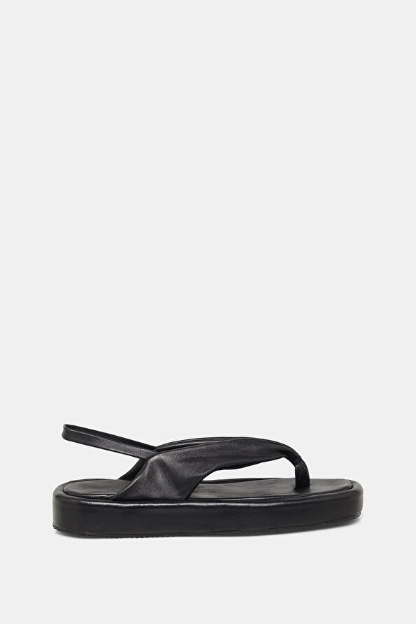 Vakkorama1 Vakkorama1