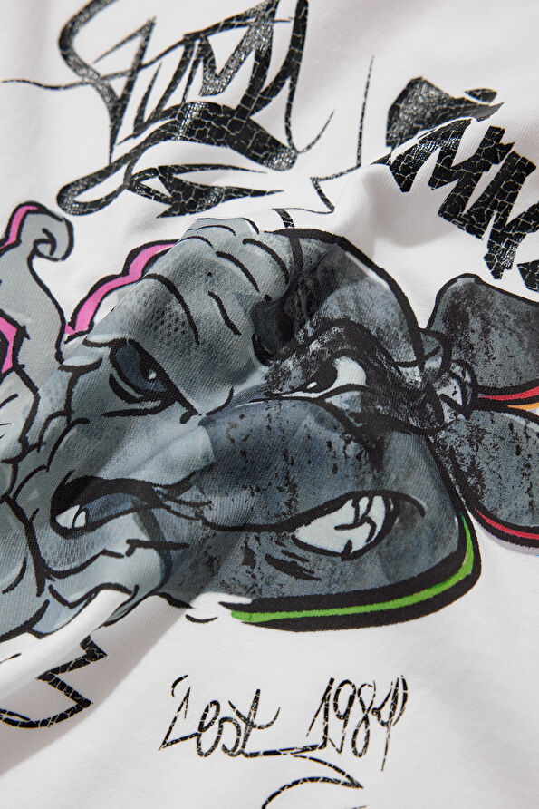 Vakkorama4 Vakkorama4